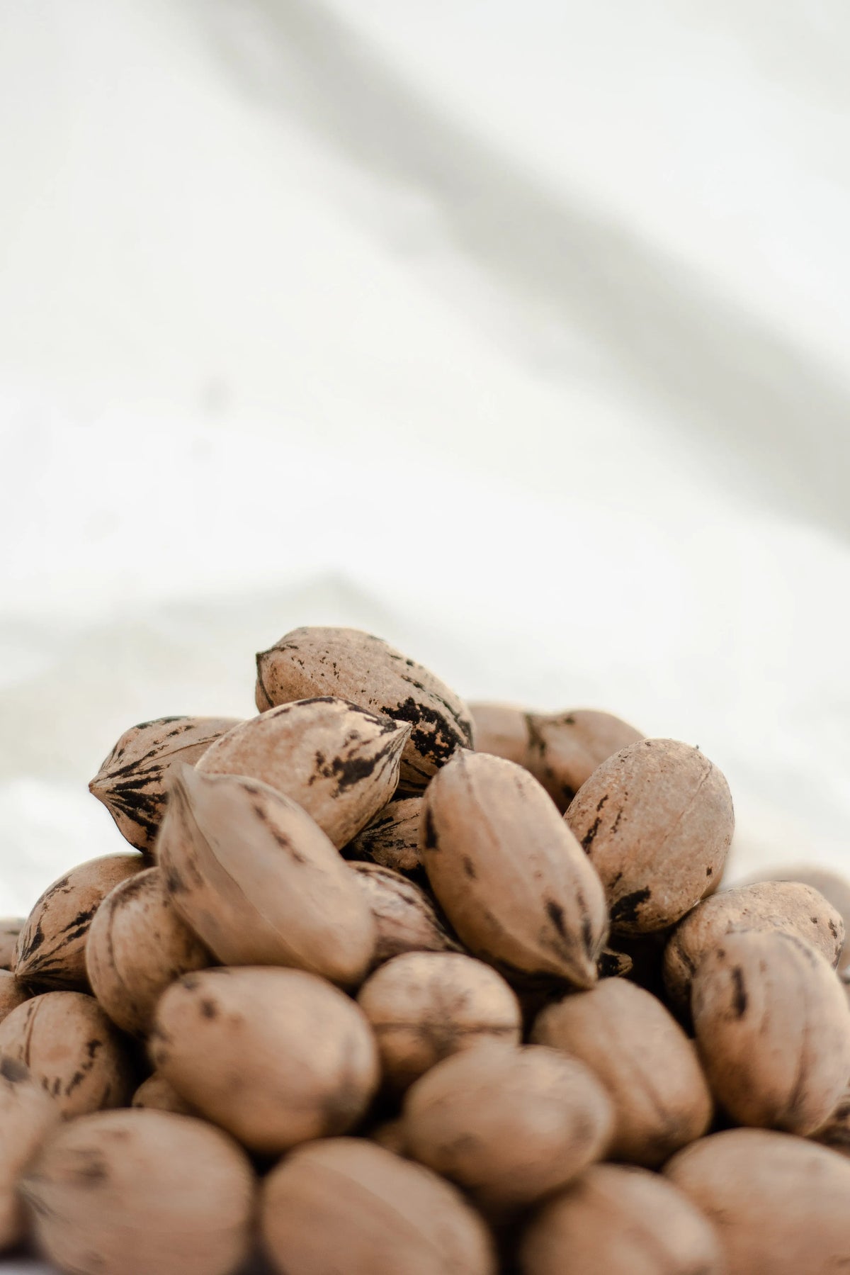 nuez_con_cascara_pecana