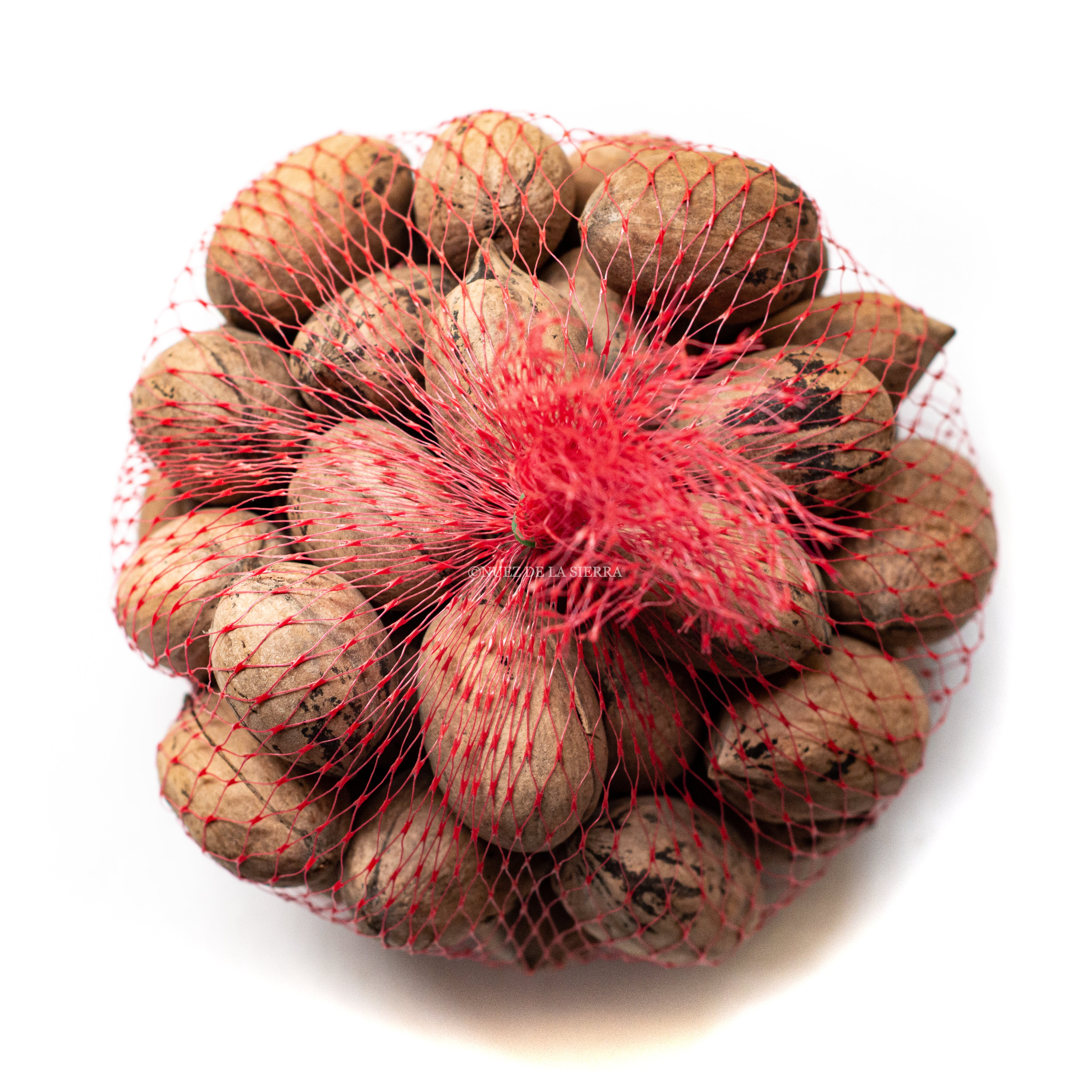 Nuez Pecana Wichita Natural con Cáscara sin Transgénicos ni Conservadores